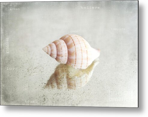 Seashell Metal Print featuring the photograph Seashell by Sylvia Cook
