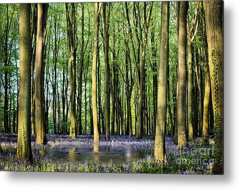 Woodland Metal Print featuring the photograph Secret pond in bluebell woods by Simon Bratt