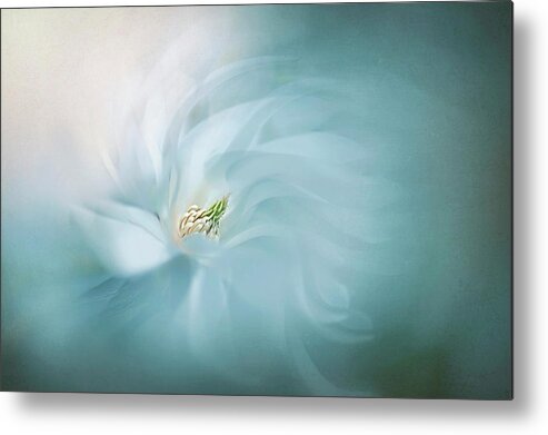 Macro Metal Print featuring the photograph Serene by Jacky Parker