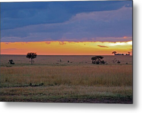 Sunrise Metal Print featuring the photograph Serengeti Sunrise by Tony Murtagh
