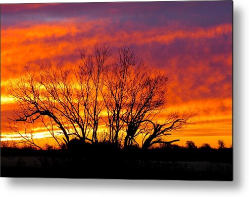 Texas Hill Country Metal Print featuring the photograph Shades Of Morning by David Norman