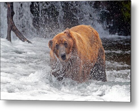 Water Metal Print featuring the photograph Shake out by Bill Singleton