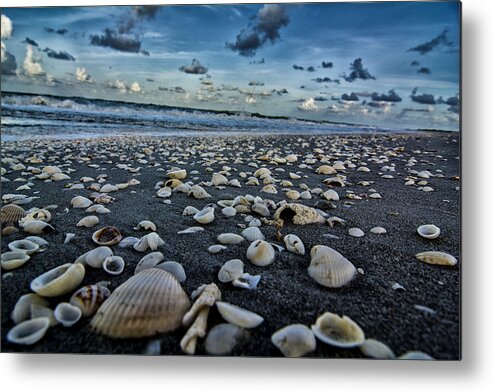 Shells Metal Print featuring the photograph Shell Beach by Kevin Cable