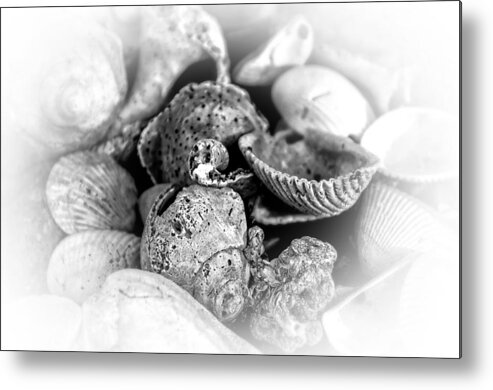 Sea Shells Metal Print featuring the photograph Shell House by Rick Bartrand
