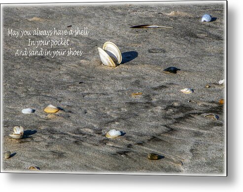 Beach Metal Print featuring the photograph Shell In Your Pocket by Cathy Kovarik