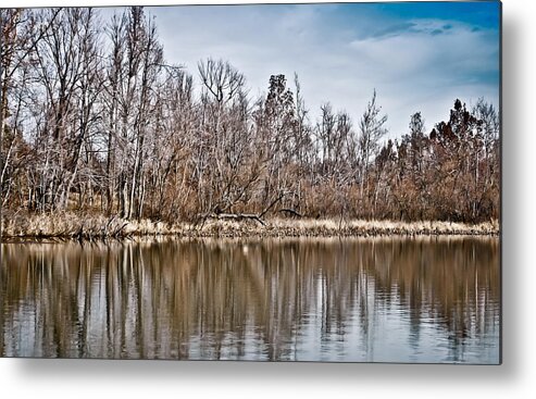 Shoreline 5a Metal Print featuring the photograph Shoreline 5a by Greg Jackson