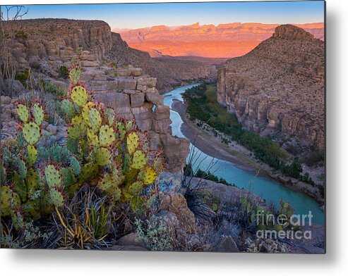 America Metal Print featuring the photograph Sierra del Carmen and the Rio Grande by Inge Johnsson