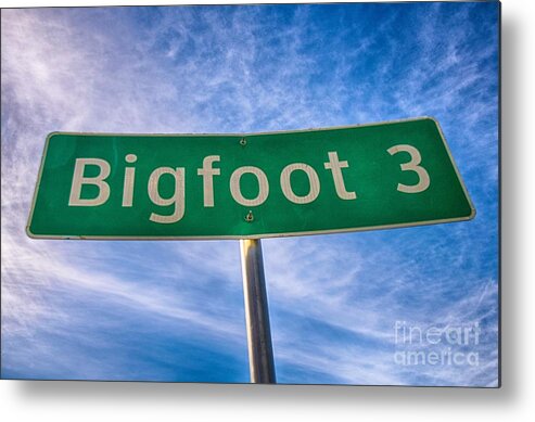 Bigfoot Metal Print featuring the photograph Signs of Bigfoot by Ken Williams