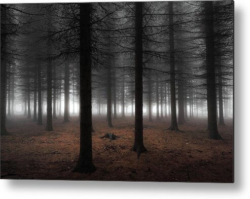 Landscape Metal Print featuring the photograph Silence by Dragisa Petrovic