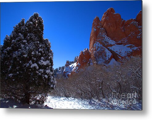 Winter Metal Print featuring the photograph Silhouetted Tree with Fresh Snow at Garden of the Gods by JD Smith