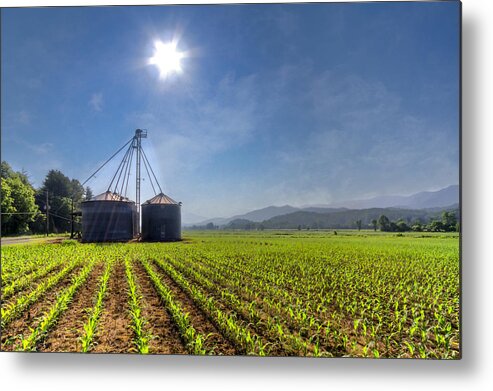Andrews Metal Print featuring the photograph Silos by Debra and Dave Vanderlaan