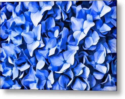 Blue Metal Print featuring the photograph Simply Blue by Cathy Kovarik