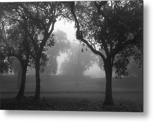 Fog Metal Print featuring the photograph SKC 0063 Atmospheric Bliss by Sunil Kapadia