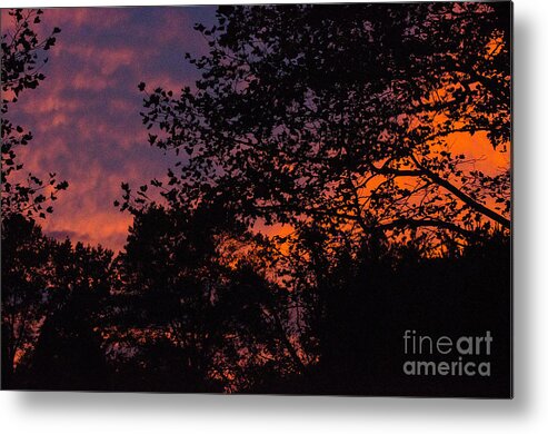 Sky Metal Print featuring the photograph Sky On Fire 3 by Judy Wolinsky