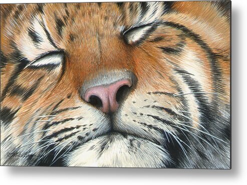 Tiger Metal Print featuring the painting Sleeping Beauty by Mike Brown