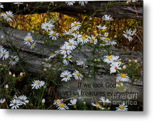 Wood Fence Metal Print featuring the photograph Small Treasures by Sandra Clark