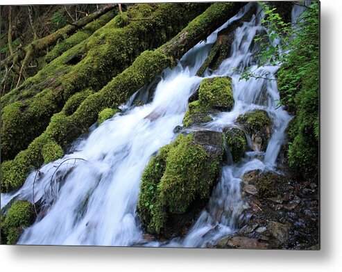 Proxy Falls Metal Print featuring the photograph Smooth As Silk by Kami McKeon