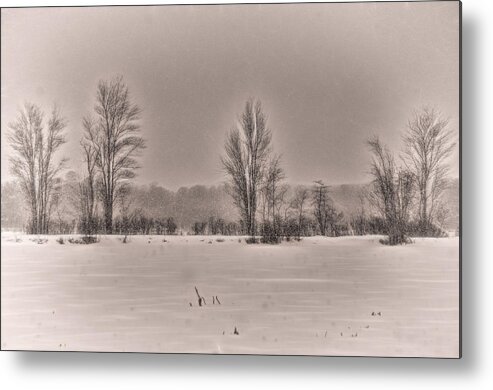 Snowfall Metal Print featuring the photograph Snow Falling on Bare Trees 2 by Beth Venner