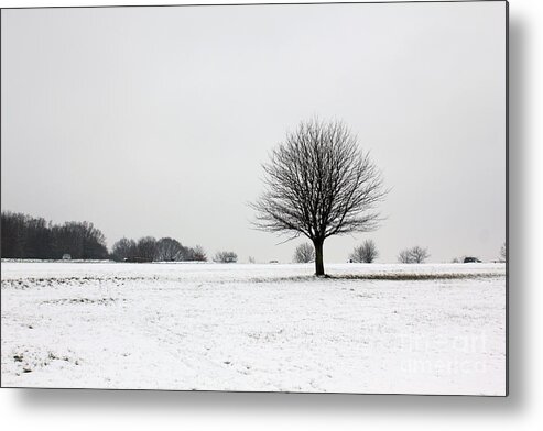 Epsom Downs Metal Print featuring the photograph Snow on Epsom Downs Surrey England UK by Julia Gavin