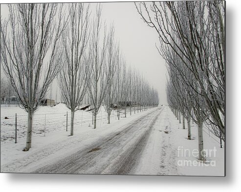 Snow Metal Print featuring the photograph Snowy lane by Richard Lynch