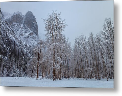 Landscape Metal Print featuring the photograph Solitary by Jonathan Nguyen