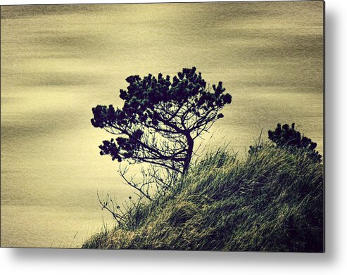 Tree Metal Print featuring the photograph Solitude by Melanie Lankford Photography
