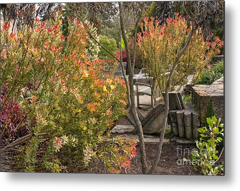 Bench Metal Print featuring the photograph Solitude Series Garden Flowers by Kate Brown