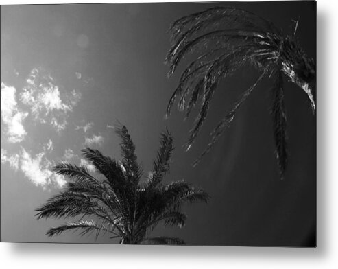 Jezcself Metal Print featuring the photograph South Beach by Jez C Self