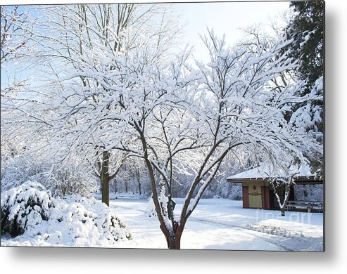 South Park Wonderland Metal Print featuring the photograph Snow - South Park Wonderland - Luther Fine Art by Luther Fine Art