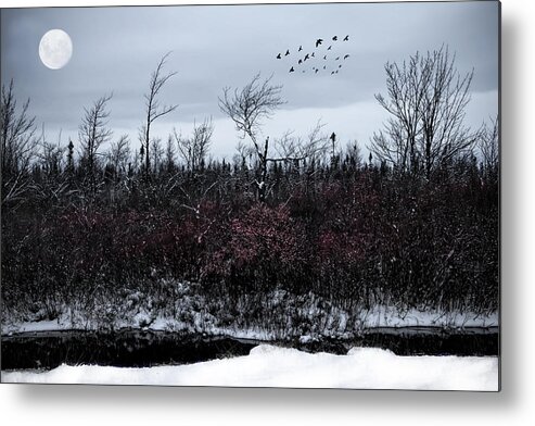 Evie Metal Print featuring the photograph South to the Moon by Evie Carrier