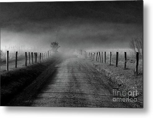 Fence Metal Print featuring the photograph Sparks Lane in Black and White by Douglas Stucky