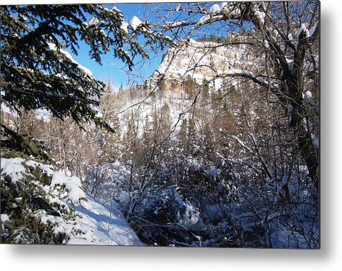 Dakota Metal Print featuring the photograph Spearfish Canyon in Snow by Greni Graph