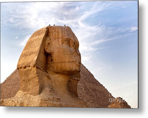 Africa Metal Print featuring the photograph Sphinx Egypt by Jane Rix