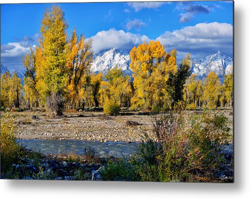 Spread Creek Metal Print featuring the photograph Spread Creek Grand Teton National Park by Greg Norrell