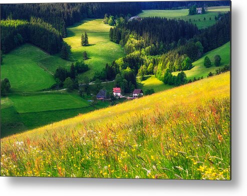 Germany Metal Print featuring the photograph Spring at Black Forest by Shuwen Wu