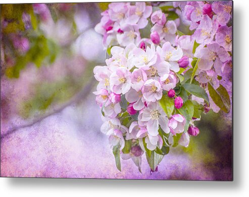 Pink Metal Print featuring the photograph Spring Blossoms by Cathy Kovarik