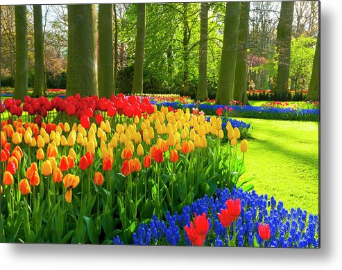 Flowerbed Metal Print featuring the photograph Spring Flowers In A Park by Jacobh