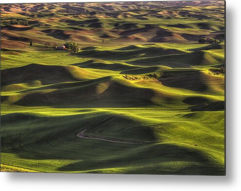 Wheat Metal Print featuring the photograph Spring on the Palouse by Mark Kiver