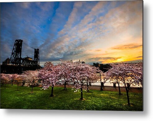 Spring Metal Print featuring the photograph Springtime in Portland by Brian Bonham