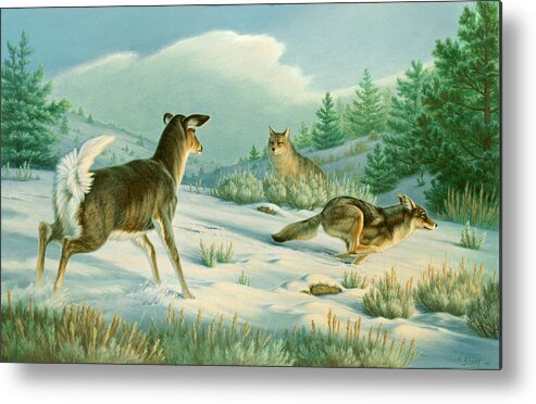 Wildlife Metal Print featuring the painting Stand-off -Whitetail doe and Coyotes by Paul Krapf