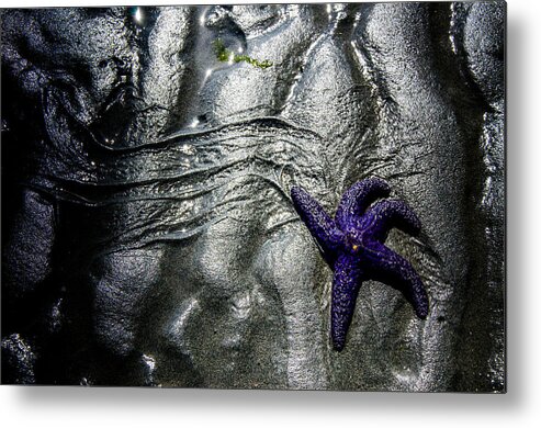 Hidden Metal Print featuring the photograph Star Dance by Roxy Hurtubise