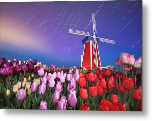 Star Metal Print featuring the photograph Star trails windmill and tulips by William Lee