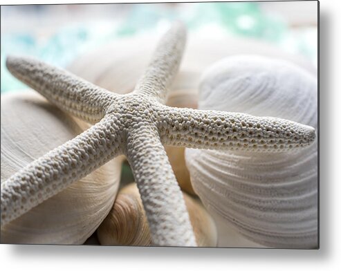Starfish And Seashells Metal Print featuring the photograph Starfish and Seashells by Terry DeLuco