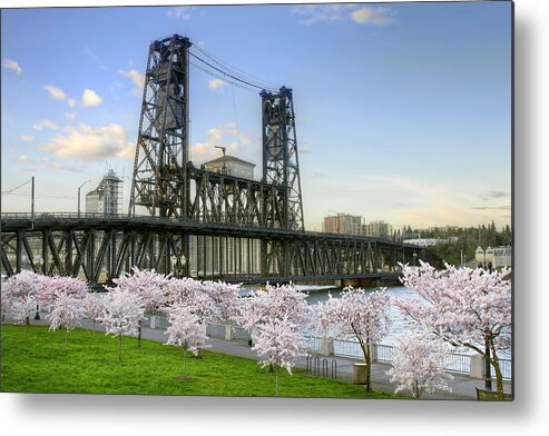 Steel Metal Print featuring the photograph Steel Bridge and Cherry Blossom Trees in Portland Oregon by David Gn