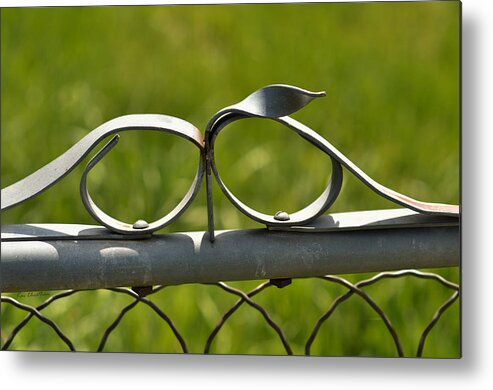 Fence Metal Print featuring the photograph Steel Fence Decor by Kae Cheatham
