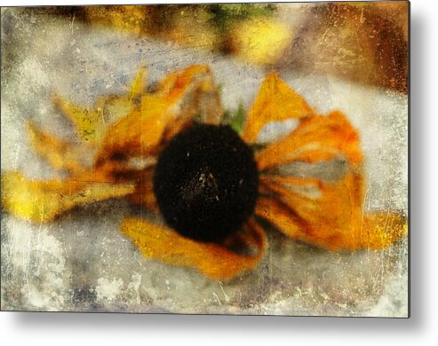 Sunflower Metal Print featuring the photograph Still Beautiful by Terry Rowe