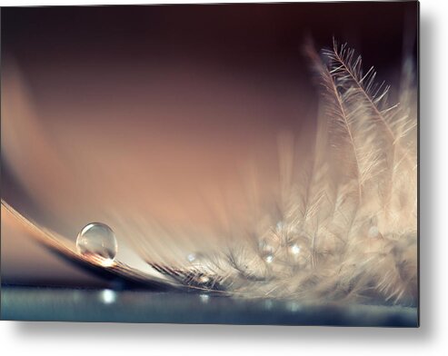 Macro Metal Print featuring the photograph Stories Of Drops by Dmitry.d