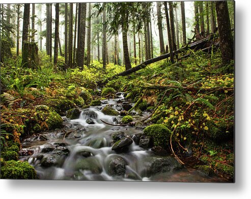 Scenics Metal Print featuring the photograph Stream Through The Forest by Andipantz