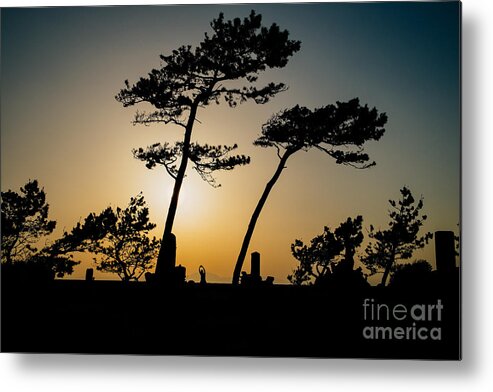 Stretch Metal Print featuring the photograph Stretch 2 by Dean Harte
