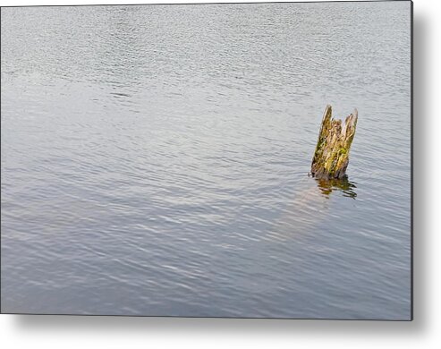 Water Metal Print featuring the photograph Submerged by Brooke Friendly